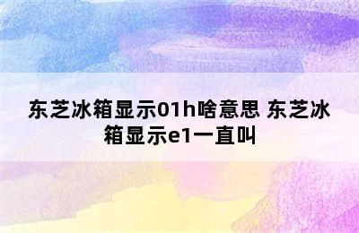 东芝冰箱显示01h啥意思 东芝冰箱显示e1一直叫